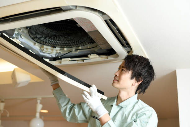 Best Affordable Duct Cleaning Services  in Arlington Heights, WA