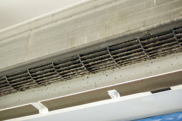 Best Affordable Air Duct Cleaning  in Arlington Heights, WA