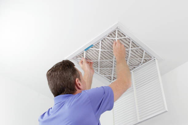 Best Home Air Vent Cleaning  in Arlington Heights, WA